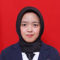 Safarina Sahilna Rahmi