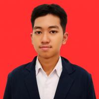 Muhammad Danish Hamizan